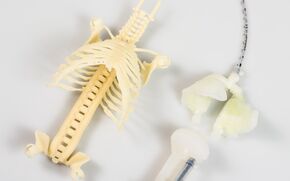 Het skelet met longen. Foto | 3D Hubs Het skelet met longen. Foto | 3D Hubs
