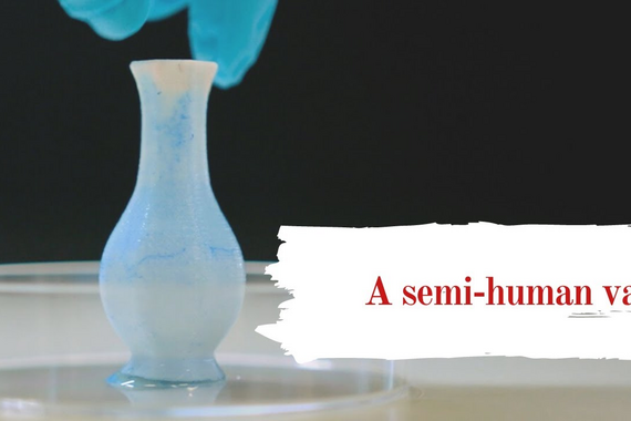Video on the 'semi-human vase', connecting art and science. Video | TU Eindhoven