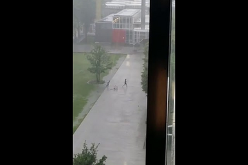 Vanuit Flux zijn deze voor de regen vluchtende studenten gefilmd.