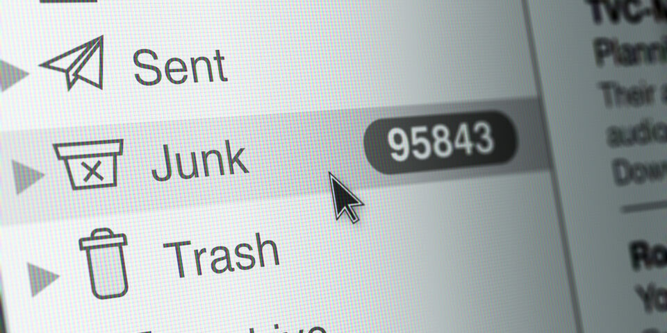 Shutterstock / Ivan Afanasev