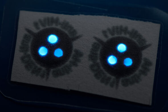 Photo | Bart van Overbeeke This paper strip (extremely zoomed in) contains two copies of the test. The three glowing dots per test indicate that you can check on three different antibodies within one test. Photo | Bart van Overbeeke