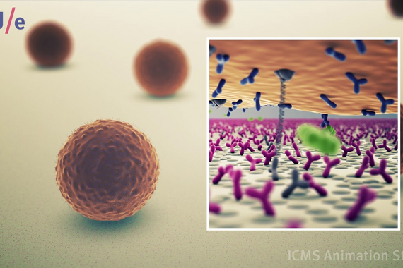 This video explains the concept. Image: ICMS Animation Studio