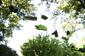 Groene sneakers boven het Limbopad. Foto | Bart van Overbeeke Groene sneakers boven het Limbopad. Foto | Bart van Overbeeke