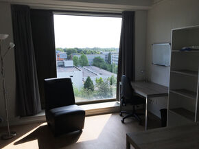 Room with a view. Room with a view.