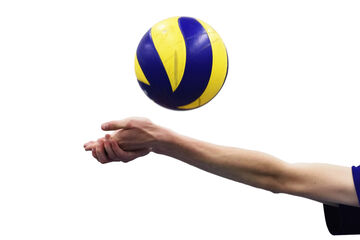 Foto | Bart van Overbeeke