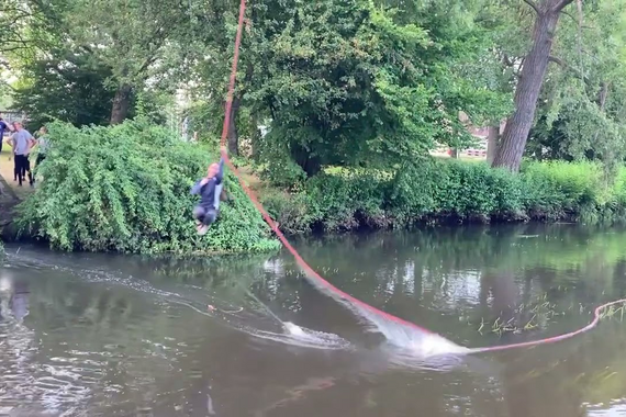 Video | All Terrain