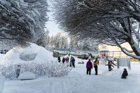 Deel van de 'snowtrack' rond de brug. Foto | Thomas Meijerman Deel van de 'snowtrack' rond de brug. Foto | Thomas Meijerman
