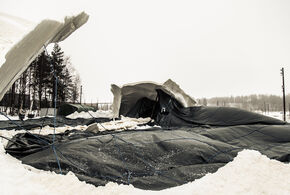 Photo | Coen Dalenoord Photo | Coen Dalenoord