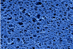 Oppervlak van een polymeermembraan, in beeld gebracht met een elektronenmicroscoop. Afbeelding  | MM/P