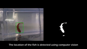 Fish on Wheels. Afbeelding | Studio diip