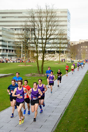 Dommelloop 2017. Foto | Bart van Overbeeke Dommelloop 2017. Foto | Bart van Overbeeke