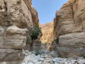 Wadi Arugot, deel van het En Gedi natuurreservaat. Foto | Mark Legters Wadi Arugot, deel van het En Gedi natuurreservaat. Foto | Mark Legters
