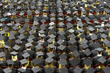 Welke universiteit trekt de meeste studenten?