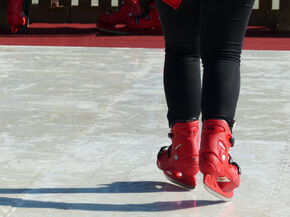 Schaatsen met de Wervingsdagen. Schaatsen met de Wervingsdagen.