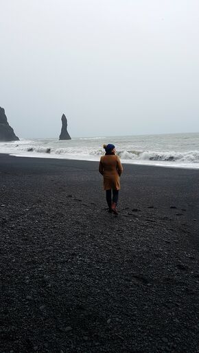 Reynisfjara-het zwarte strand aan de zuidkust bij Vik.