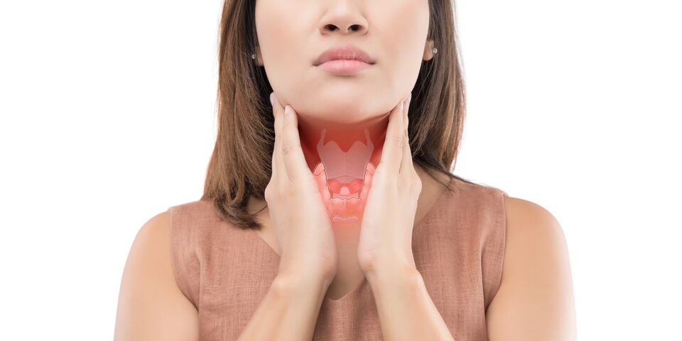 Foto | Shutterstock