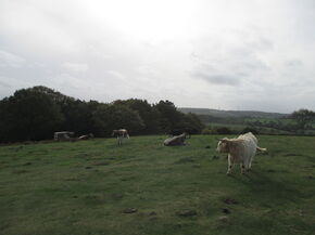 Het landschap rondom de universiteit van Loughborough. Het landschap rondom de universiteit van Loughborough.