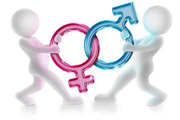 ‘Gender bias bij NWO, maar geen discriminatie’