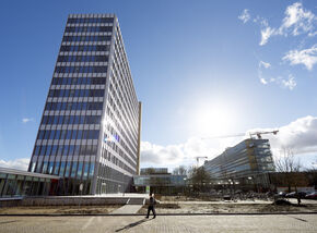 Luna. Poto | Bart van Overbeeke