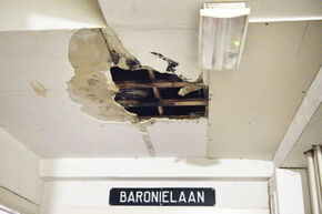 Photo | Bart van Overbeeke