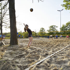 Foto | Bart van Overbeeke Foto | Bart van Overbeeke