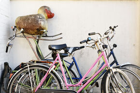 Photo | Bart van Overbeeke