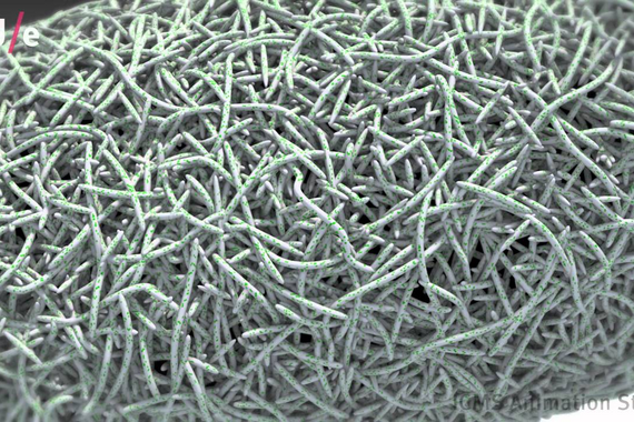 How does regenerative tissue engineering work inside the human body?
Animation | ICMS Animation Studio