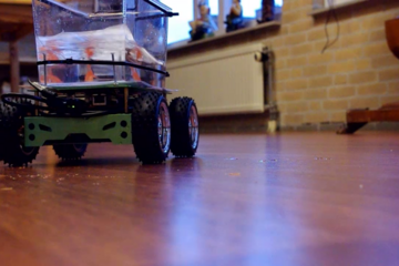 Fish on Wheels. Foto | Studio diip