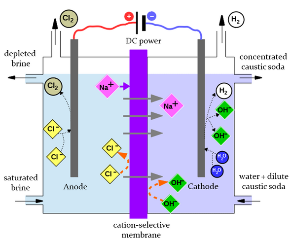 Schematische weergave van elektrolyse van een zoutoplossing. Afbeelding | Ria Sijabat