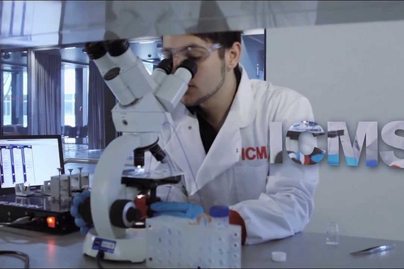 An introduction to the Institute of Complex Molecular Systems.
Video | Veldkamp Produkties