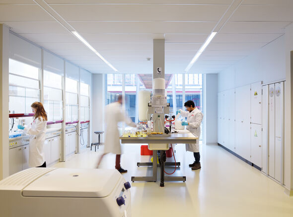 A lab in Ceres. Photo | Bart van Overbeeke A lab in Ceres. Photo | Bart van Overbeeke