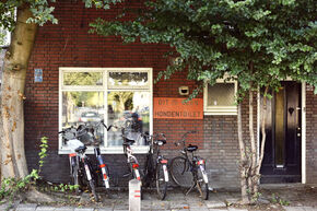 Photo | Bart van Overbeeke Photo | Bart van Overbeeke