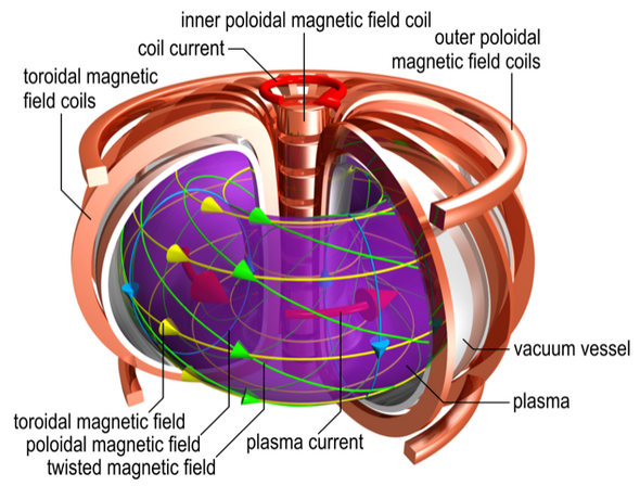 Tokamak fusion reactor. Illustration | Max Planck Institute for Plasma Physics