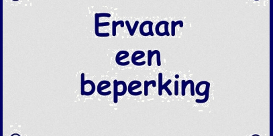 bussemaker beperking experiment bsa
