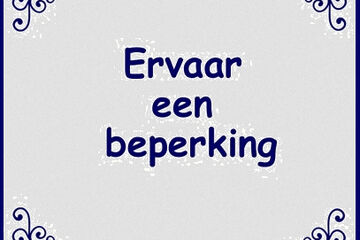 bussemaker beperking experiment bsa