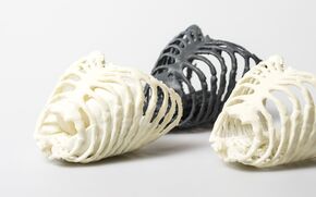 The printed rib cages. Photo | 3D Hubs The printed rib cages. Photo | 3D Hubs