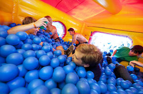 Ballenbak SSRE. Foto l Bart van Overbeeke