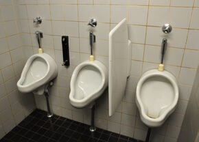 De restanten van het vernielde toiletschot. De restanten van het vernielde toiletschot.