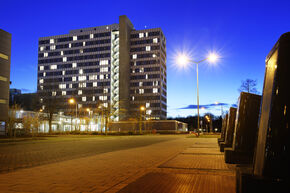 Luna. Foto | Bart van Overbeeke