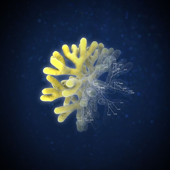 A simple model of a dendrimer (in yellow) with the underlying molecular structure. Illustration: ICMS Animation Studio A simple model of a dendrimer (in yellow) with the underlying molecular structure. Illustration: ICMS Animation Studio