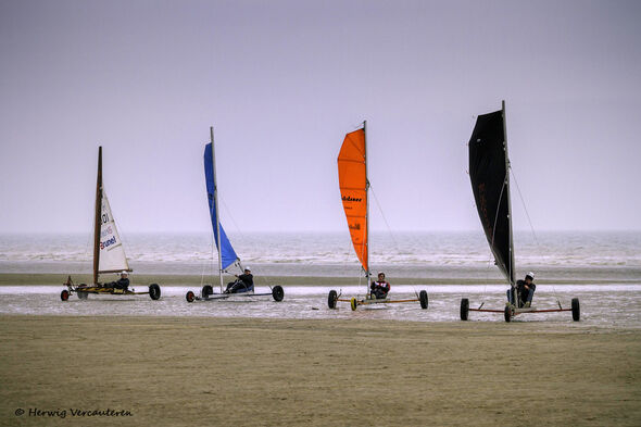 De zeilwagens in formatie op het strand. Foto | Herwig Vercouteren De zeilwagens in formatie op het strand. Foto | Herwig Vercouteren