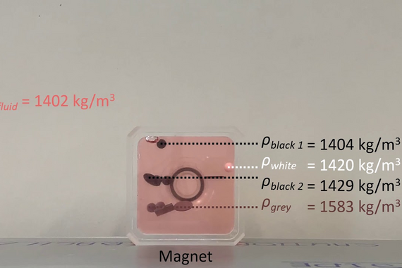Example of magnetic particle separation at a small scale. Video | Rik Dellaert
