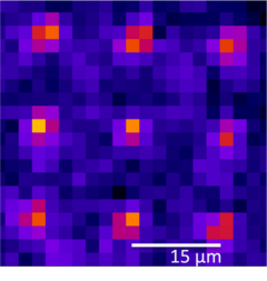 Negen ultrakoude rubidium atomen, vastgehouden in een optisch lichtrooster, vormen de basis voor de Eindhovense quantumcomputer. Afbeelding | Deon Janse van Rensburg (PhD student CQT)