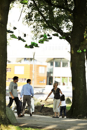 Groene sneakers boven het Limbopad. Foto | Bart van Overbeeke Groene sneakers boven het Limbopad. Foto | Bart van Overbeeke